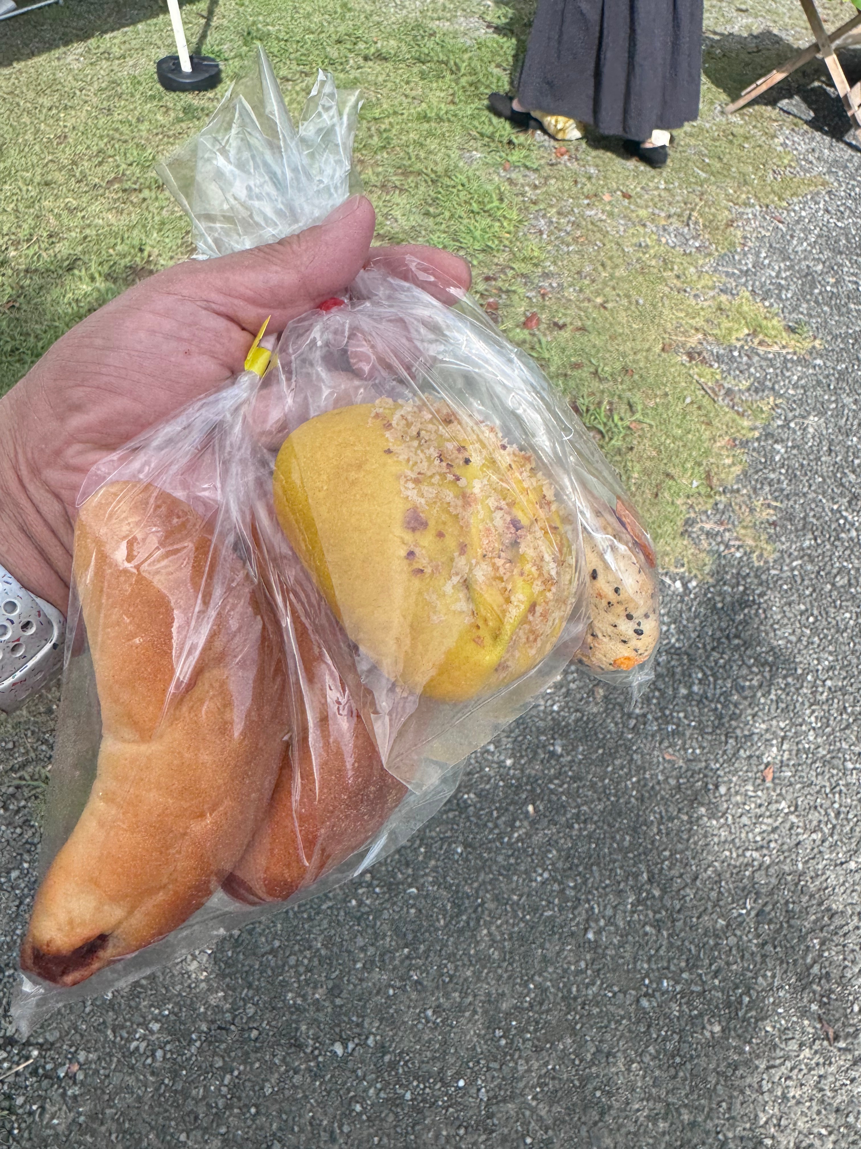 高知・池公園オーガニックマーケット|パンとコーヒーで迎える優しい朝の時間