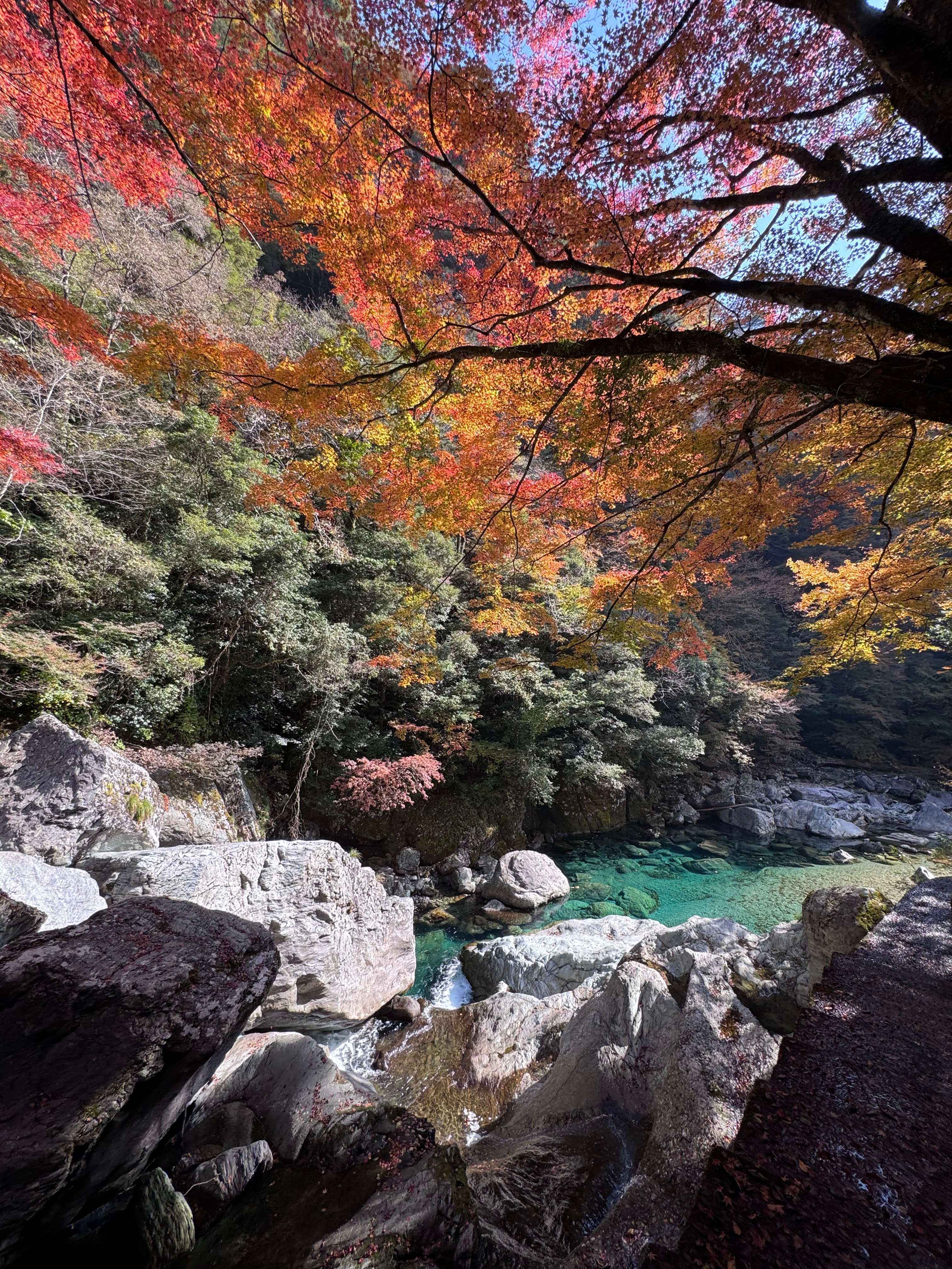 🌿 安居渓谷(高知・仁淀川町)|心がほどける“仁淀ブルーの聖地”で、静かに満たされる旅