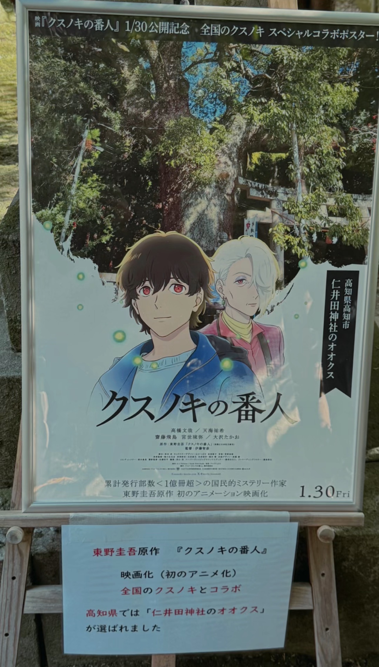 クスノキの番人と仁井田神社の大楠